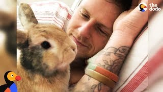 Amazing Rabbit Changes Mans Mind About Animals  CHIEF BRODY  The Dodo  Happy Fathers Day [upl. by Kalvn]