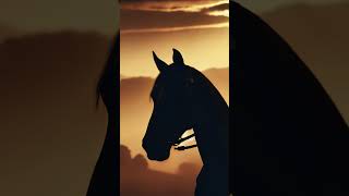 👻 El Caballo Fantasma de Trujillo 🐎🌙 relatos datoscurisos misteriosdelosandes historias [upl. by Yenetruoc]