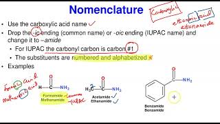 Amides Nomenclaure amp Properties [upl. by Seline]