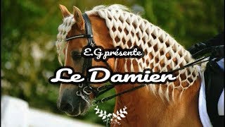 🎀 Coiffure crinière cheval  le damier 🎀 [upl. by Laeno816]