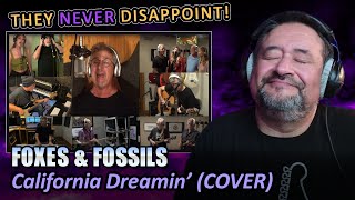 Foxes amp Fossils California Dreamin Cover  REACTION by an old musician [upl. by Duthie512]