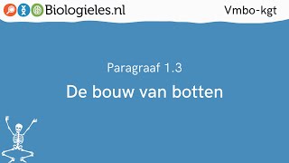 Vmbokgt 1  Stevigheid en beweging  3 De bouw van botten  Biologielesnl [upl. by Marie577]