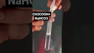 Chemical reaction Ch3cooh  Nahco3 Science experiment 🥼 [upl. by Eiboj]