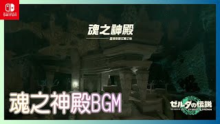 魂之神殿BGM｜The Legend of Zelda Tears of the Kingdom [upl. by Reneta]