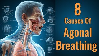 8 Causes of Agonal Breathing  Agonal Respirations amp Dyspnea  Respiratory System [upl. by Aner]