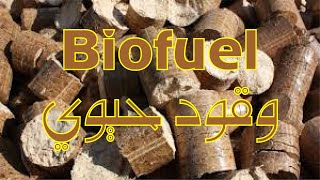 Wood Pellets Biofuel  حبيبات الخشب كـ وقود حيوي [upl. by Menon]