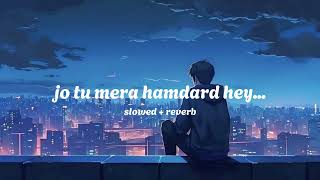 Jo Tu Mera Hamdard Hey  slowed  reverb  arijit sing  full song [upl. by Biernat]