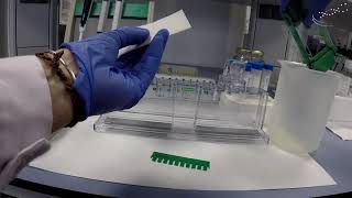 Preparation of a polyacrylamide gel   UPV [upl. by Annas]