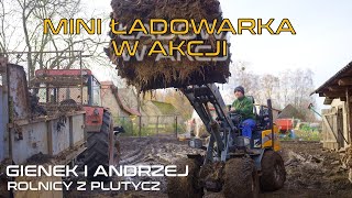 Wybieranie obornika w Plutyczach Andrzej i Jarek wynajęli mini ładowarkę Stage Giant g2300 Rolnicy [upl. by Tadich850]