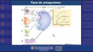 Farmaco Antagonistas y Agonistas USTABuca [upl. by Sparrow95]