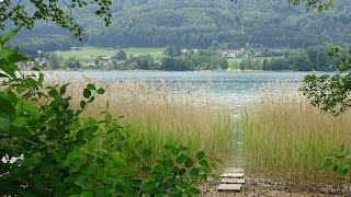 Fuschlsee  красоты австрийской природы [upl. by Repsac500]