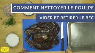 Comment nettoyer le poulpe vider et retirer le bec  🐙  Tuto Poiscaille [upl. by Roswell]