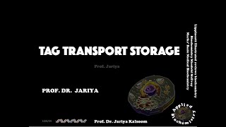 TAG SYNTHESIS TRANSPORT amp STORAGE [upl. by Guadalupe]