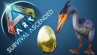 So TAMINT ihr ein HESPERORNIS und bekommt Ihr GOLDENE EIER  EGGS TUTORIAL  ARK ASCENDED [upl. by Thursby]