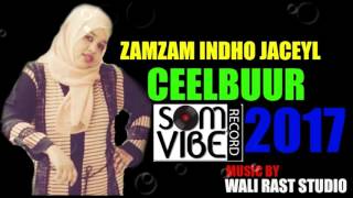 ZAMZAM INDHO JACEYL  CEELBUUR  HEES CUSUB 2017 HD [upl. by Octavie272]