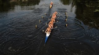 Rowing Its Good For Your Brain [upl. by Nylirad]