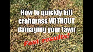 How to kill crabgrass quickly without damaging your lawn [upl. by Crysta480]