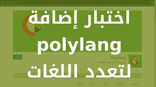 اختبار إضافة POLYLANG لموقع ووردبريس متعدد اللغات [upl. by Oiluj]