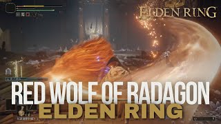 Elden Ring  Red Wolf of Radagon Boss Fight 2K 60FPS [upl. by Una]