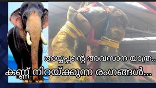 അയ്യപ്പന്റെ വിടവാങ്ങൽ ഓരോ ആനപ്രേമിയുടെയും കണ്ണുനീർ വീഴ്ത്തും  Mangalamkunnu ayyappan elephant [upl. by Enaxor]