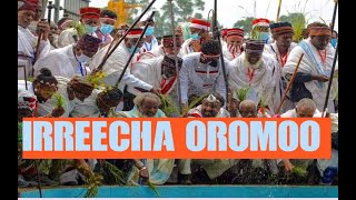 Irreecha Oromo Music 2023  Best Oromo Music  Sirba Afaan Oromoo  Irreecha Oromo Culture [upl. by Niroc]