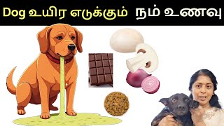 Pet Owners Dog food ல் எச்சரிக்கை  Part I  Street Dogs Tamil [upl. by Duval]