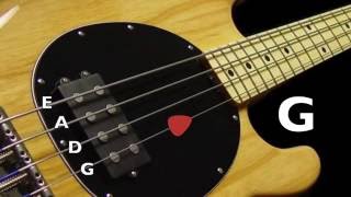 Bass Tuner  Standard Bass Tuning E A D G 4 Strings [upl. by Siednarb432]