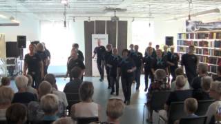 Ballerup Linedance  Opvisning til Ballerup Musikfest 23 august 2015 [upl. by Enyala]