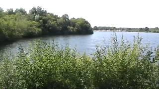 SPINNAKER LAKE BLASHFORD HAMPSHIRE [upl. by Alamac]