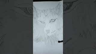 Wolf face sketch ✍️shots trending wolf art sketch viralshort [upl. by Nahtannoj596]