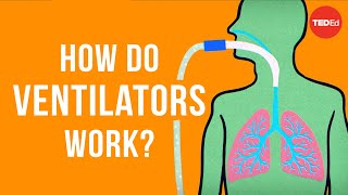 How do ventilators work  Alex Gendler [upl. by Janaye]