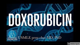 Doxorubicin Mechanism of action④ [upl. by Eilata]