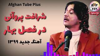 Sharafat Parwani 2020 New Song شرافت پروانی اهنگ درفصل بهار میله [upl. by Nnahaid]