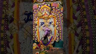 KR MARKET ANAMMA DEVI 2ND DAY FLOWER DECORATION SHORTS [upl. by Latreese]