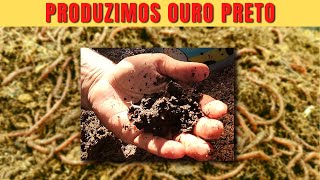 FAZENDA DE MINHOCAS Como Criar Minhocas Para Produção de Adubo [upl. by Modnar590]