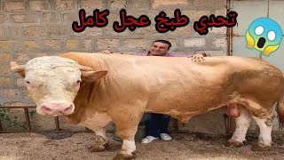 الشيف بوراك Czn burak  تحدي طبخ عجل كامل [upl. by Selin]