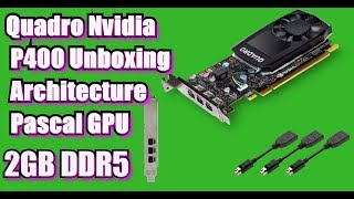 NVIDIA Quadro P400 Professional Graphics Leadtek Pascal GPU Unboxing Tech Land [upl. by Loughlin464]