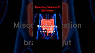 Thiamine Vitamin B1 Deficiency Causes IBS guthealth ibs shorts [upl. by Bent]