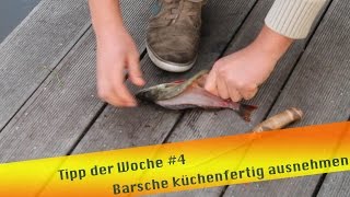 Tipp der Woche 4 Barsche küchenfertig ausnehmen [upl. by Ahsito]