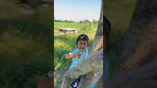 Takat👊badhane 🍃wala nimbu🍈shortfeed funny trending comedy viralvideo ytshorts [upl. by Marillin]