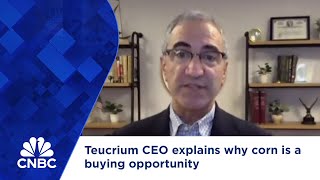 Teucrium CEO explains why corn is a buying opportunity [upl. by Hgielar362]