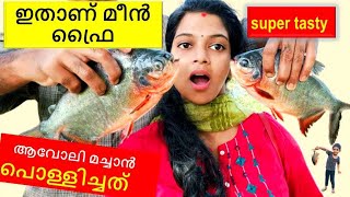 ഇലയിൽ പൊരിച്ച ആവോലി  RedbellyNutter Fish fry  Kerala Style Fish Curry  Jyothimani  Vlog 53 [upl. by Schouten]