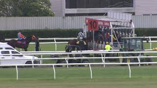 Heat 8  Doomben Jumpouts 08112023 [upl. by Ralph]