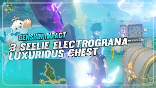 Kannazuka 3 Seelie Puzzle Electrobarrier Luxurious Chest  GENSHIN IMPACT INAZUMA [upl. by Aivatnwahs469]