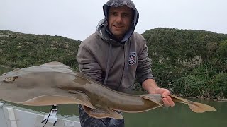 Kwelera Sand Shark Alley  Light Tackle Guitarfish amp Butterfly Ray Fishing East London South Africa [upl. by Eissel]