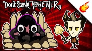 A Beginners Guide To MOLEWORM FARMS In Dont Starve Together [upl. by Assillim]