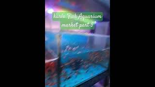 Aquarium fish kurla market MumbaifishingvideoMalvaniLife👍amp subscribe kijiye [upl. by Artimid]