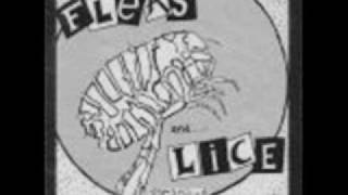 Fleas and Lice  Demotivating Songwmv [upl. by Nirtiac16]