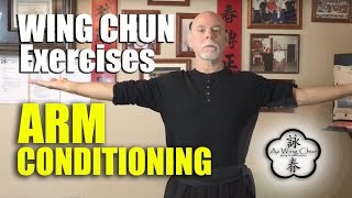 Wing Chun Arm Conditioning Exercises [upl. by Anoik]