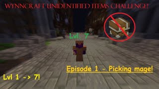 Wynncraft  No Unidentified items challenge  LEVEL 1  7  episode 1 [upl. by Ida]